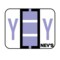 Nevs Tabbie - Filing Labels - Large - Letter Y 1" x 1-1/4" Lavender XA-T-Y - alternate 1